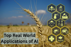 Top Real World Applications of AI