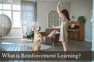 What Is Reinforcement Learning